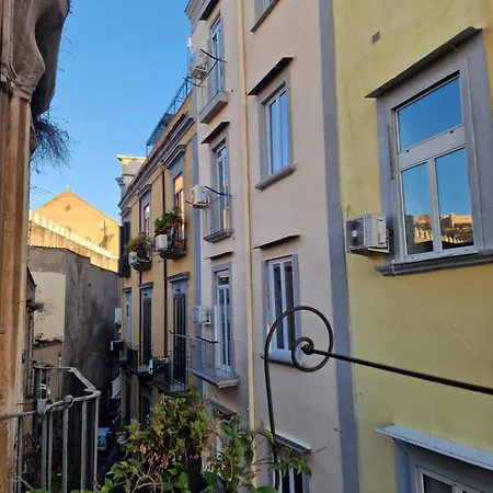 Lo Specchio Dei Papiri