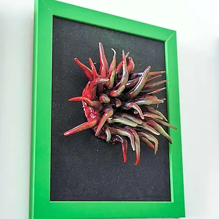 Lo Specchio Dei Papiri Panzió 4*
