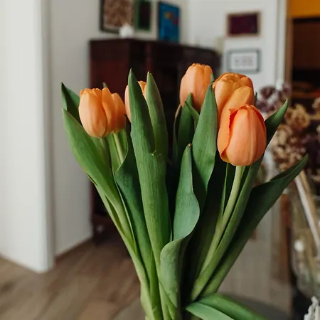 Frühstückspension Lo Specchio Dei Papiri 4*