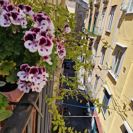 Lo Specchio Dei Papiri 4* Naples
