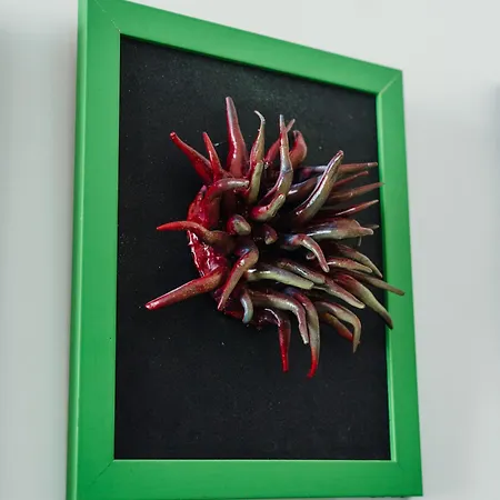 ベッド・アンド・ブレックファスト Lo Specchio Dei Papiri ナポリ